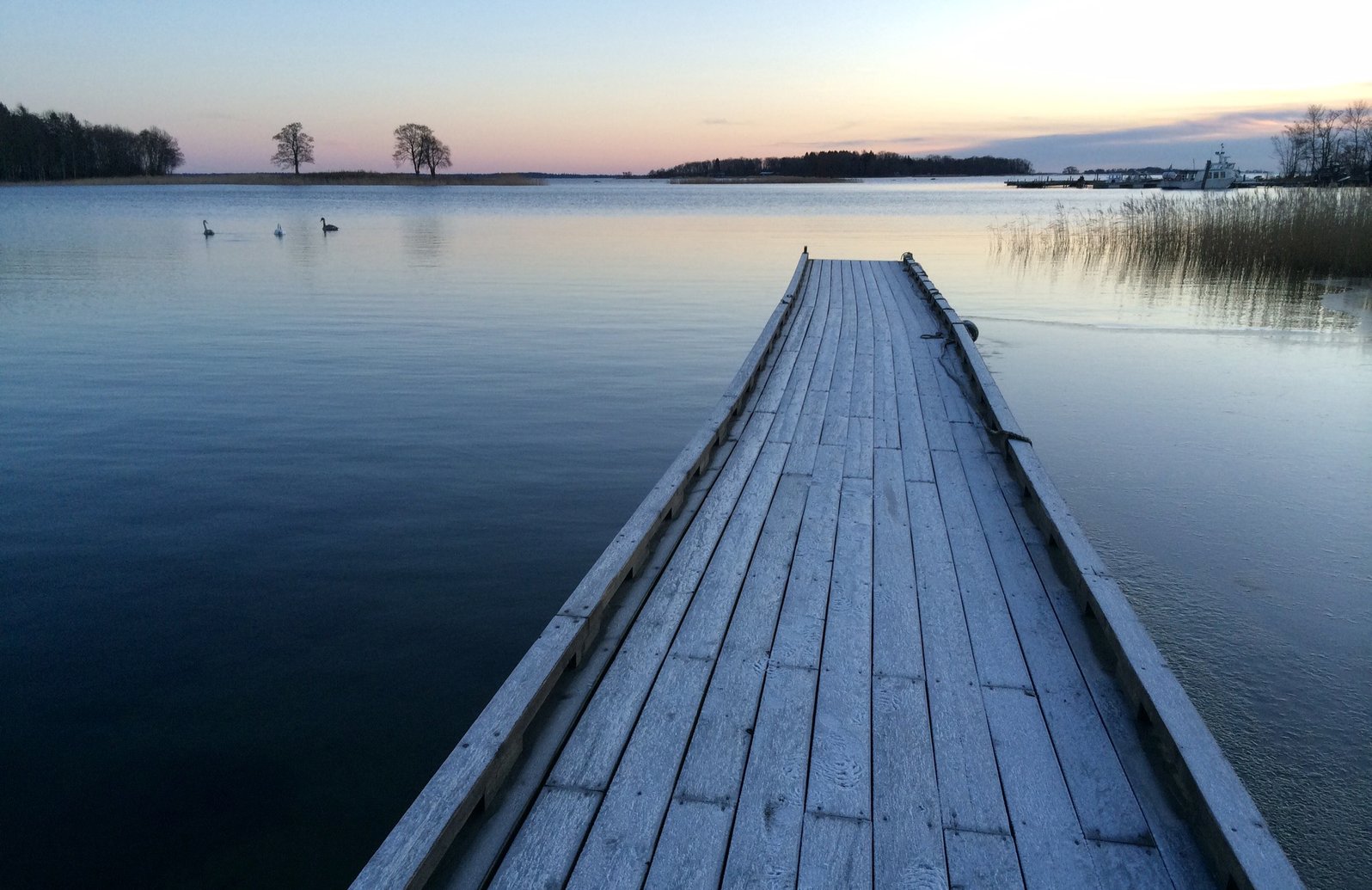 Frost, Blidö, 2014. ©Tomas Ehrnborg